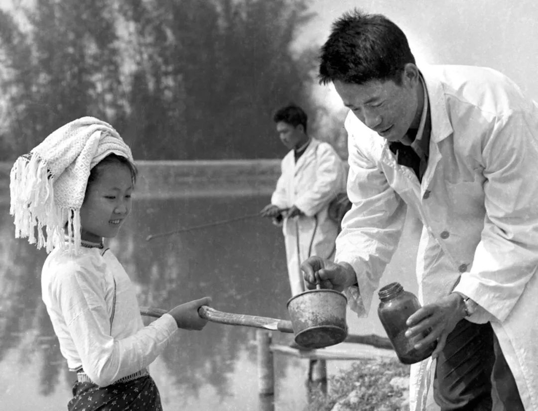 抗疟事迹,抗击新冠病毒中的感人故事