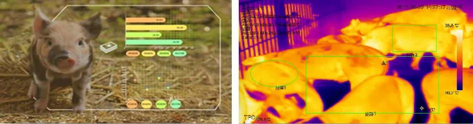 乡村振兴五个振兴内容,乡村振兴5g创新服务平台项目