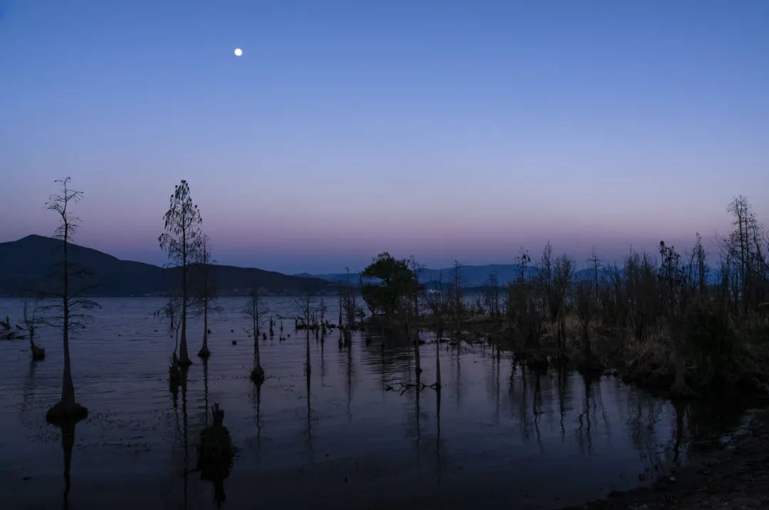 12月想要什么,12月的冬日暖阳岁月如此静好
