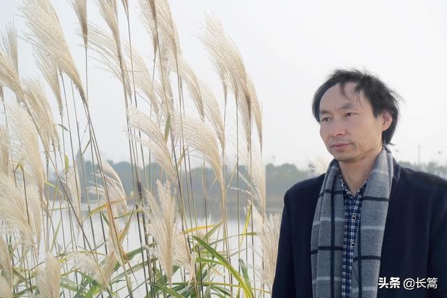 解析海子的诗歌面朝大海春暖花开,朦胧诗海子