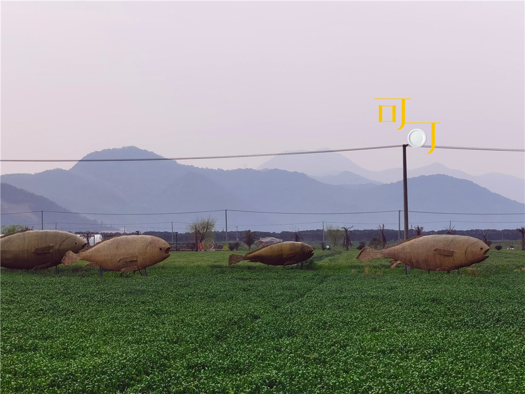 象山看大海住宿,象山适合亲子游可赶海的民宿