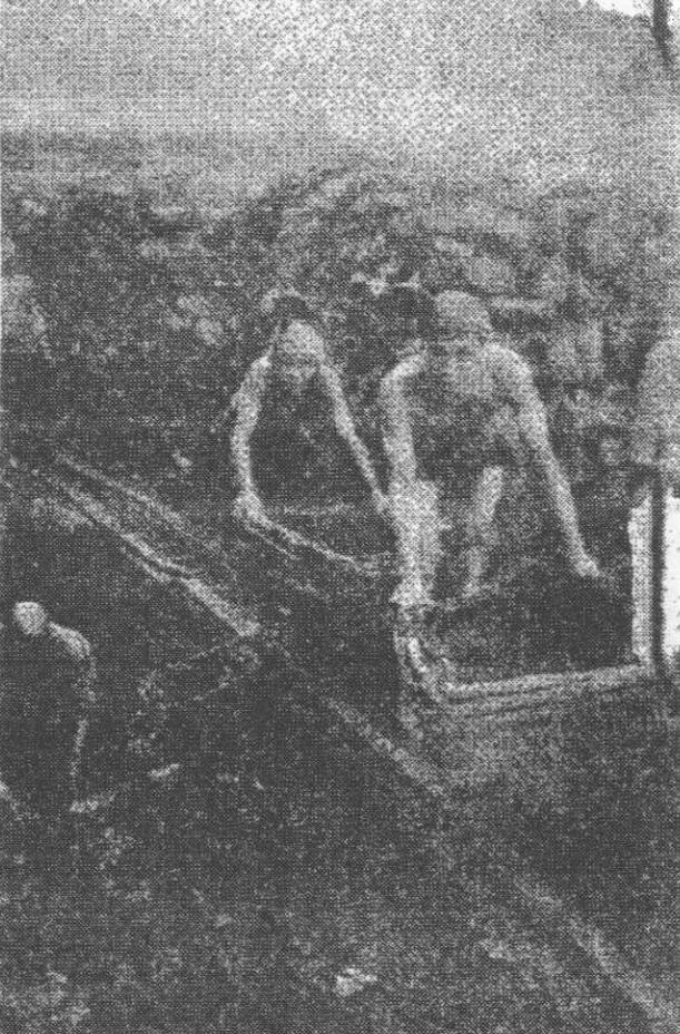 我印象中的北碚,北碚人眼里的北碚