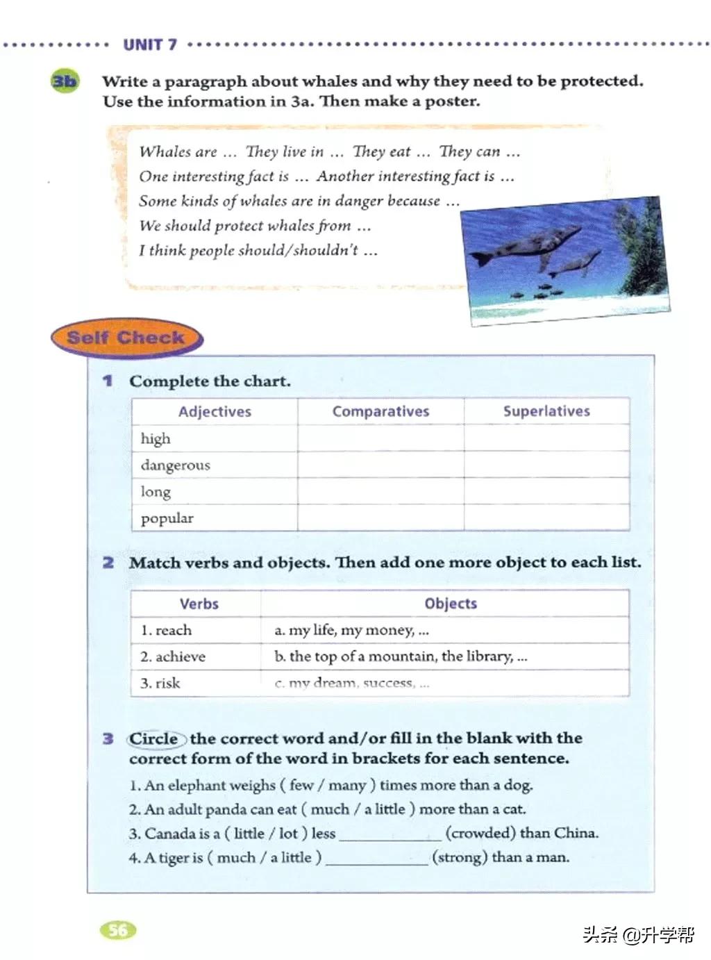 八年级英语下册人教版预习,8年级下册英语电子书人教版翻译