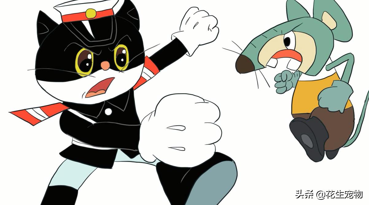 真实版黑猫警长抓老鼠,抓老鼠玩黑猫警长