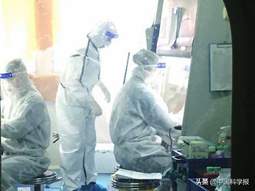 聚焦：大疫之中的武汉病毒所
