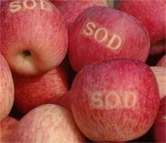 你们用大宝sod蜜吗,大宝sod蜜详细简介