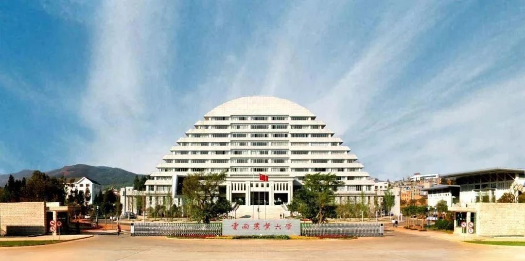 许家印吐槽恒大完整版,许家印亲自设计的恒大足球场