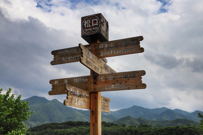 梅州采茶,梅州采茶体验