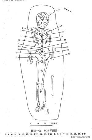 7000年前惨死的少女,七千年前少女为何惨遭杀害