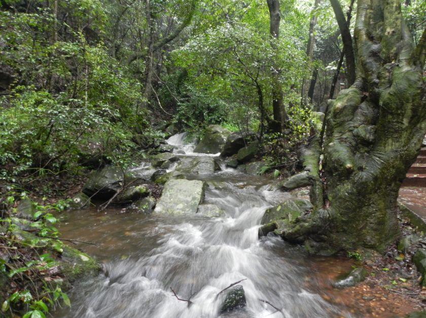 昆明青龙峡风景区,昆明青龙峡有啥好玩的