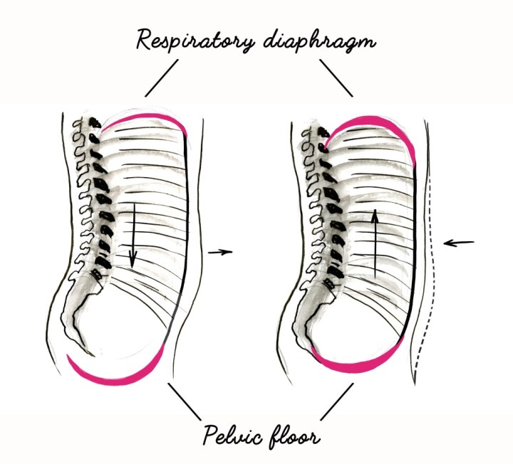 怎么才能做好下犬式这个动作,零基础下犬式正确姿势分解及功效
