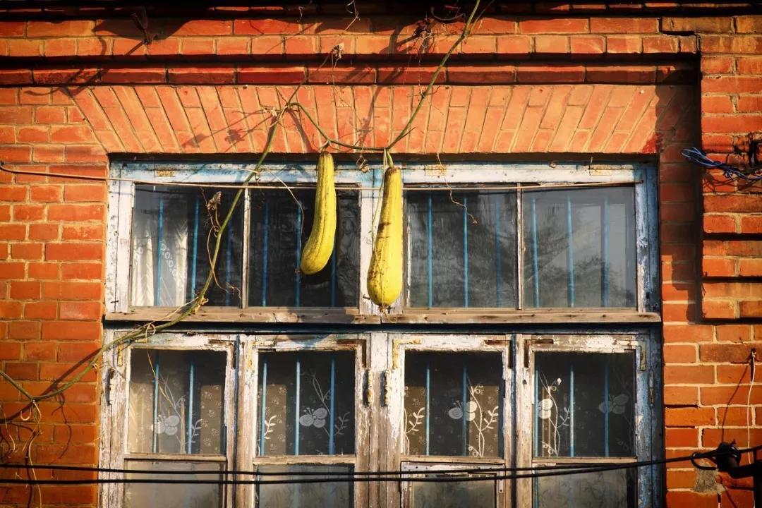 三亚和厦门哪一个更值得去旅游,三亚和厦门哪个地方值得去