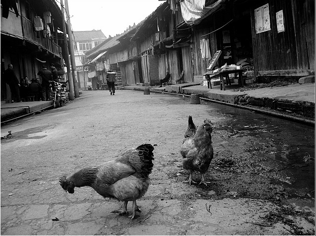 成都附近的古镇最值得去的是哪个,2022春节成都周边有年味的古镇