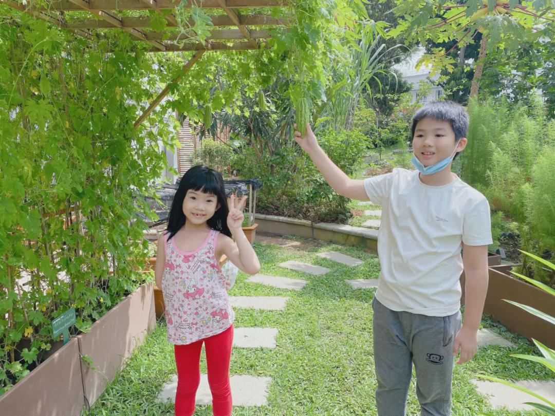 新加坡十大必住酒店,在新加坡住酒店多少钱