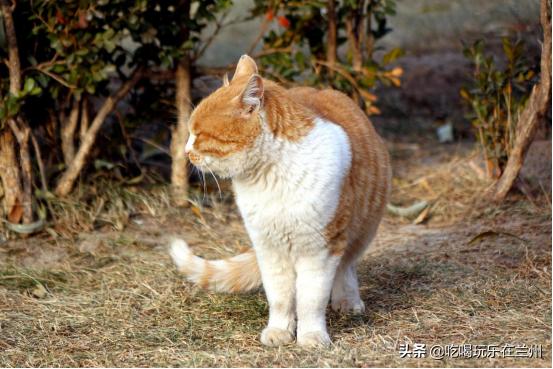 兰州体育公园全民健身运动会,数九寒天体育