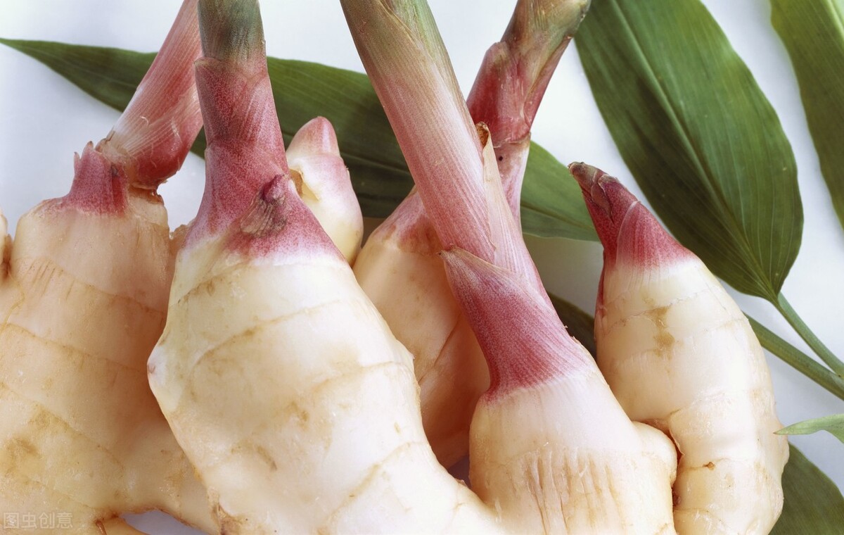 生姜亩产30000斤的方法,四川生姜种植高产方法和最佳时间