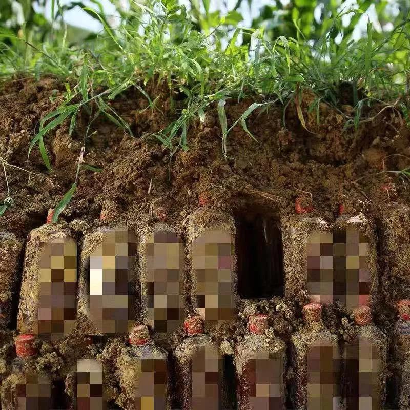 目前哪几款老酒价格高,假老酒