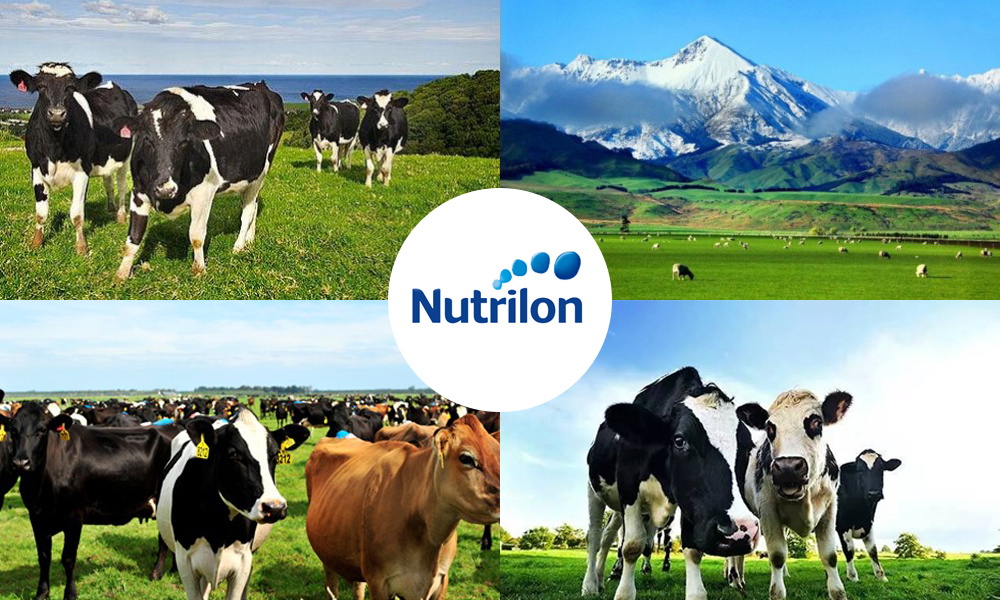 英国牛栏奶粉和荷兰牛栏的区别,荷兰牛栏和美素哪个最好