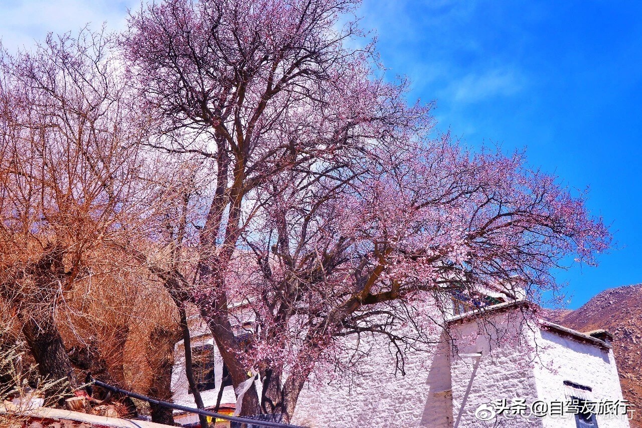 8月最佳旅行地推荐自驾游,4-5月份最佳的自驾短途旅行