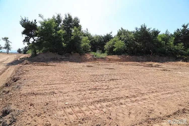 澶氳倝澶х浜屾湪,澶氳倝杈句汉浜屾湪