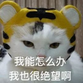 如何脱毛永远不会再长小技巧,怎么摆脱脱毛的尴尬