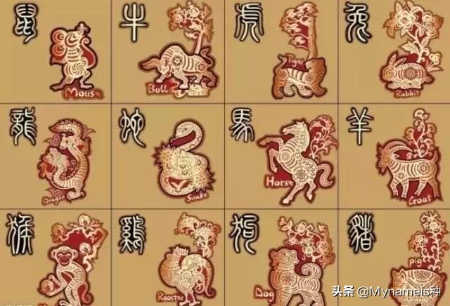 属相天命,十二属相的解析与分析