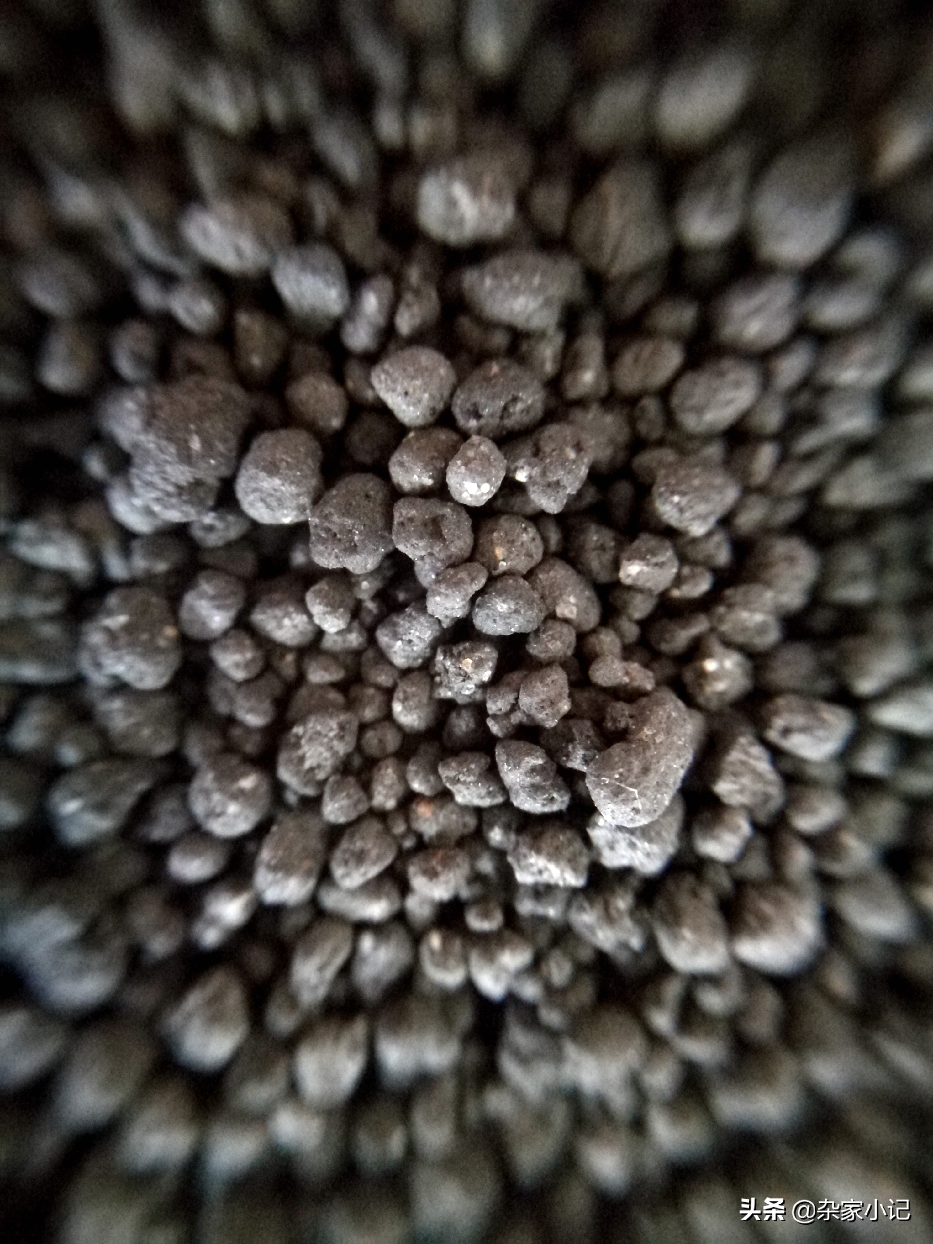 疯狂石头水草泥,疯狂的石头水草泥口碑怎样