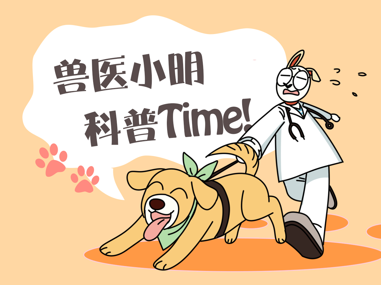 猫咪腿摔断了它会自己修复吗,猫咪不小心把脚摔了好吗