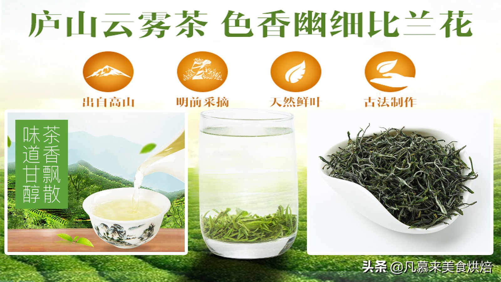 什么品种的茶叶最好喝,中国十大名茶哪种茶叶最好喝