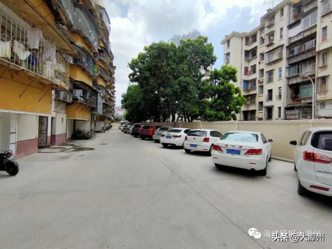 市区教师新村和水仙花园，是脱胎换骨啦！你家老旧小区呢？可留言晒图下