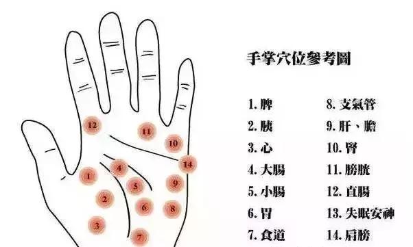 核桃手串和金刚手串哪个好盘,核桃手串盘玩方法