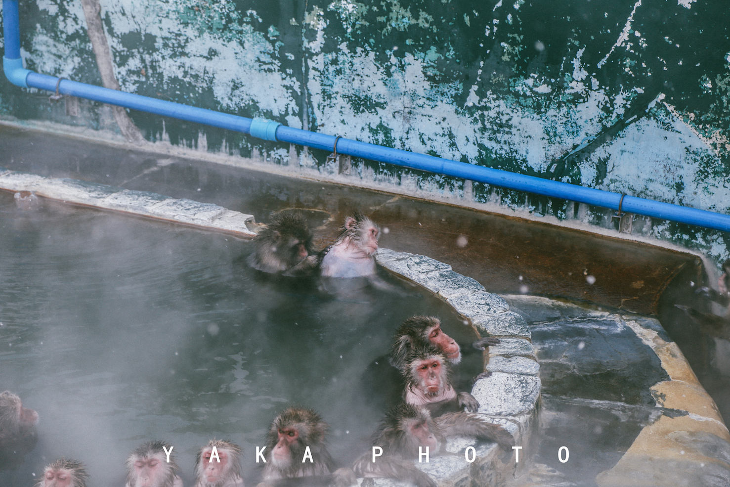 日本北海道旭川到函馆的距离,北海道函馆景点