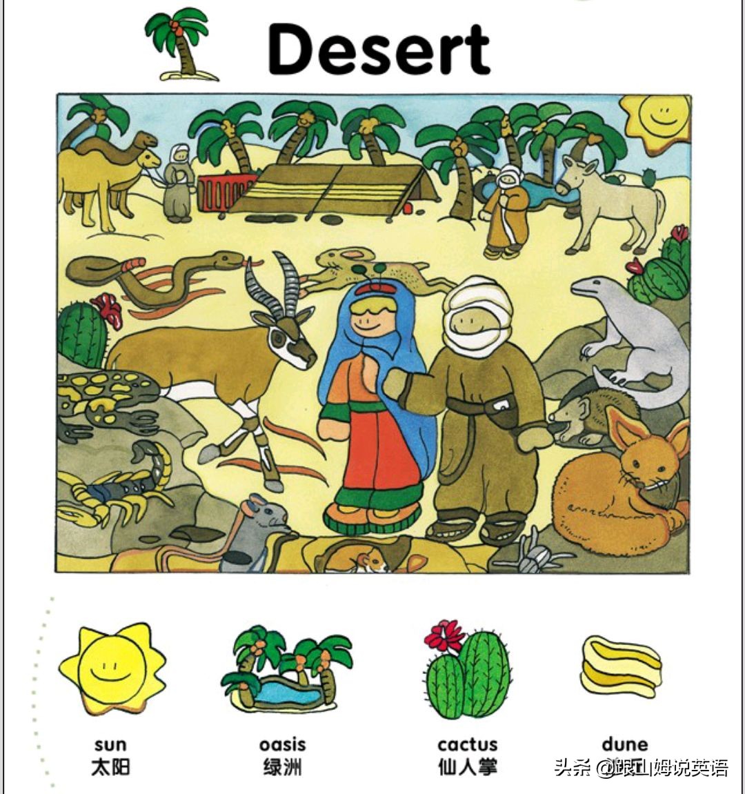 90幅图速记1000个初中英语单词,90幅图轻松记1000个单词