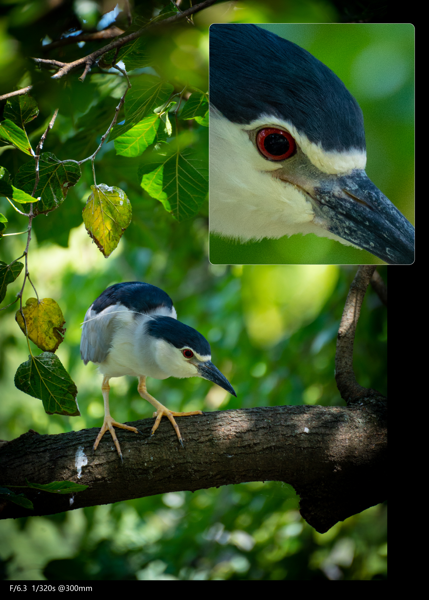全画幅腾龙70-300,腾龙70-300e卡口