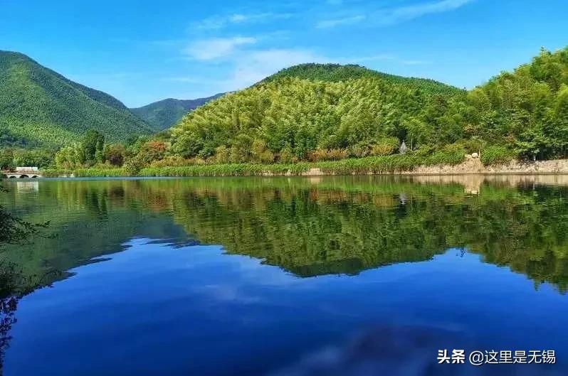 宜兴旅游攻略樱花,江苏溧阳茶园樱花绽放