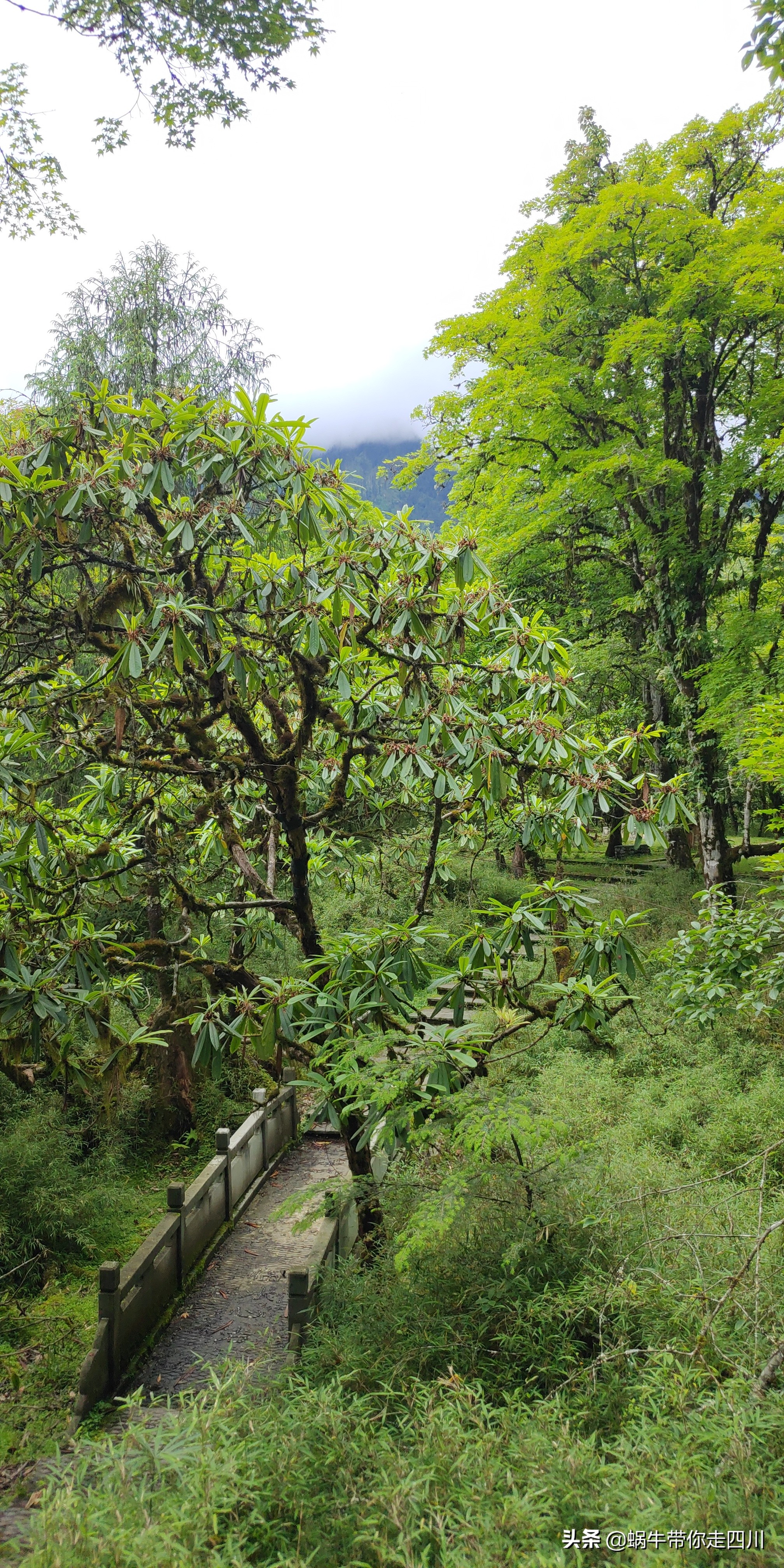 带小朋友出去看小动物,带小孩去海洋动物园