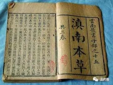 中医药的基本知识点,学习中医必备的十种中药