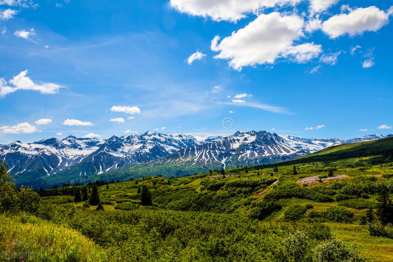 你不知道的国家冷知识英国篇,英国留学生必须知道的冷知识