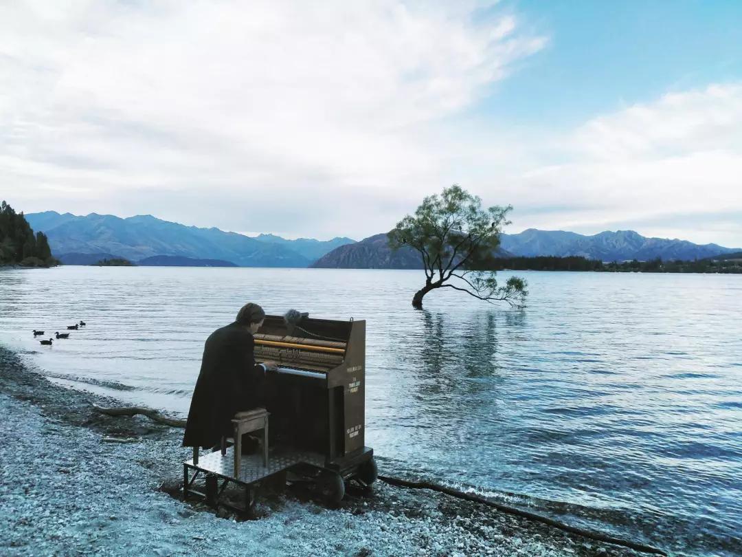 新西兰南太平洋明珠,新西兰太平洋的明珠