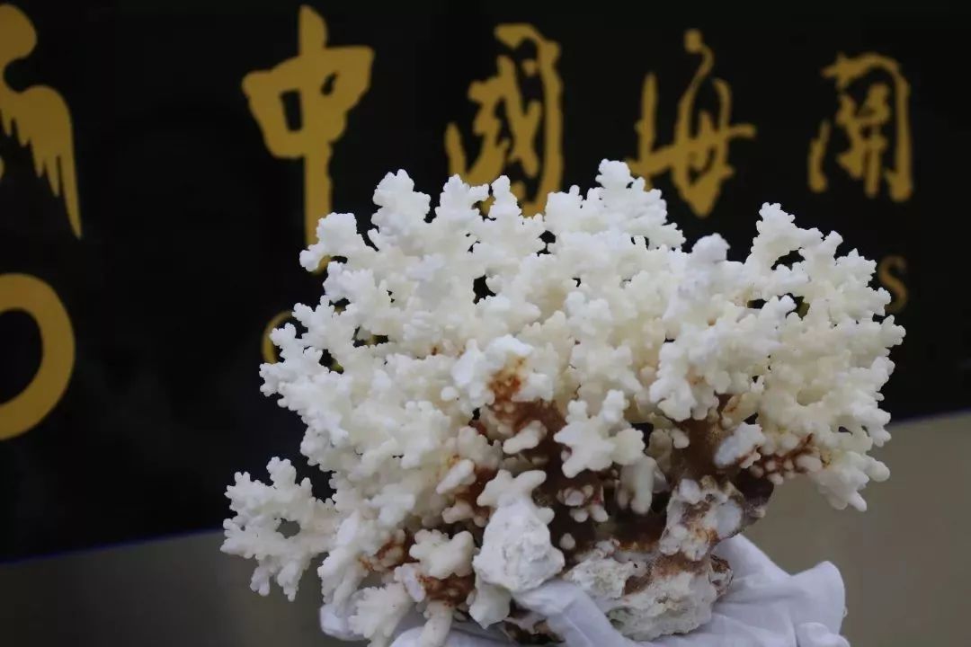 惠州人去港澳Shopping，这些东西不要买，以免中招