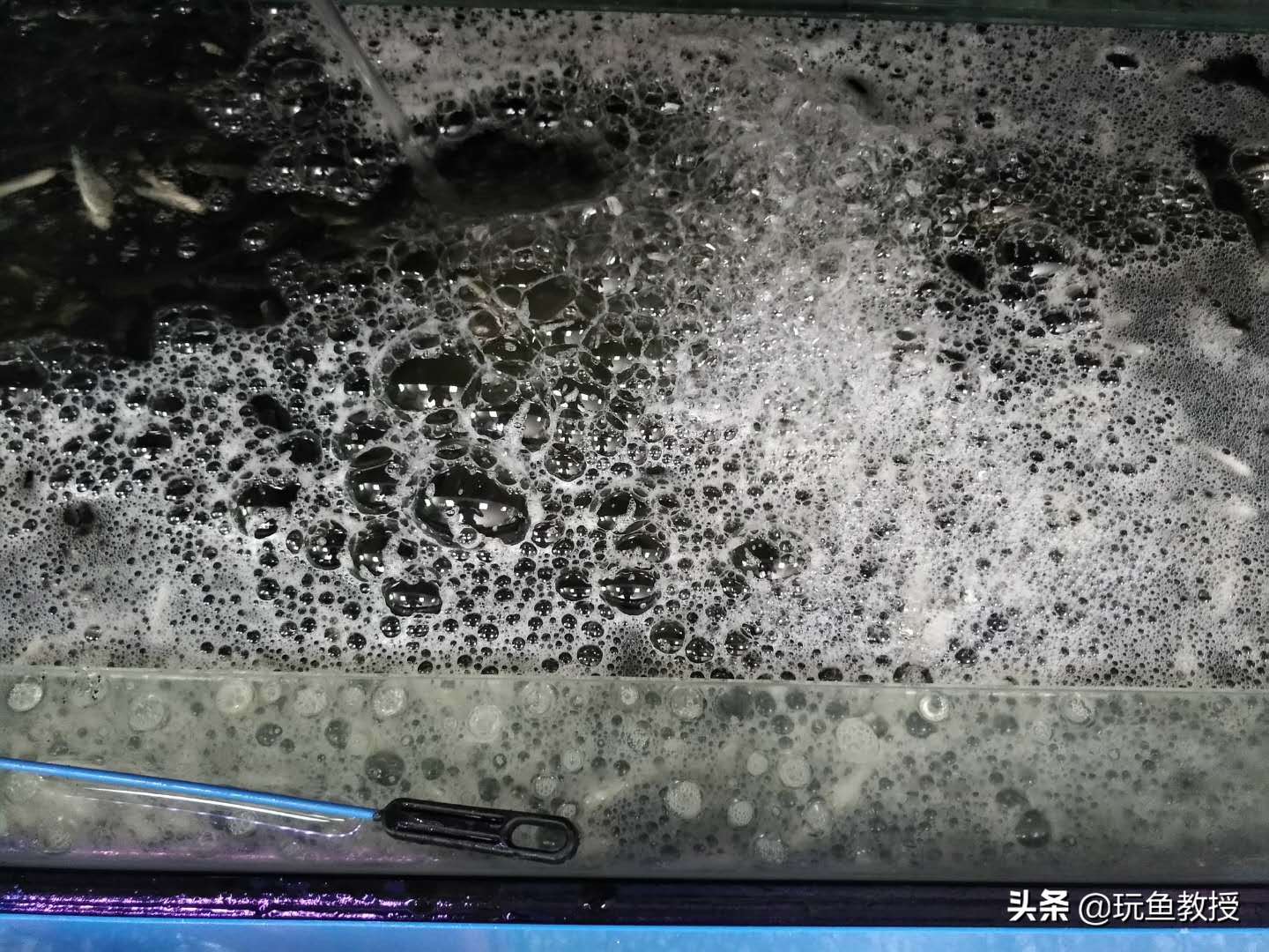 鱼缸制氧机为什么很多气泡,为什么鱼缸玻璃上有很多气泡