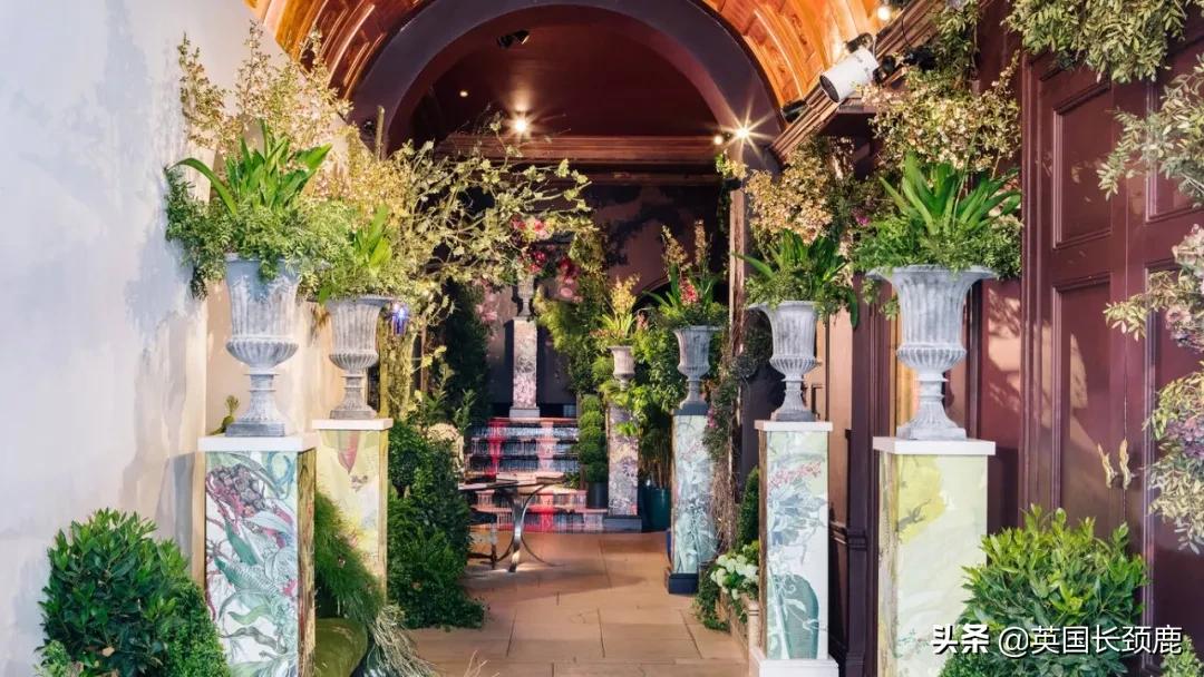 520/521：五月阳光下，伦敦依然盛放。记得常回来看看