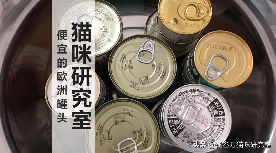 寰风綈缃愬ご濂藉悧,寰风綈缃愬ご