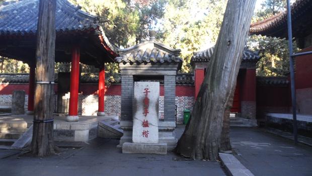 孔林是最大的氏族墓地吗,孔林各个时代的墓葬