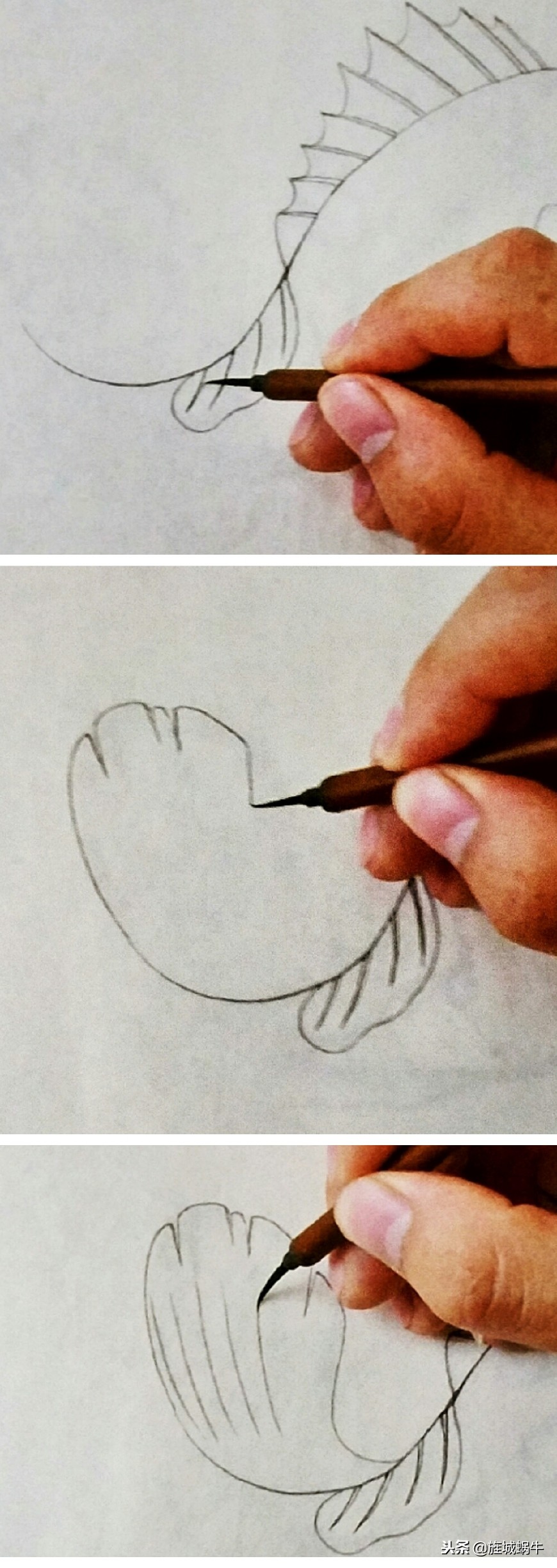 鳜鱼画法小视频,鳜鱼工笔画法视频
