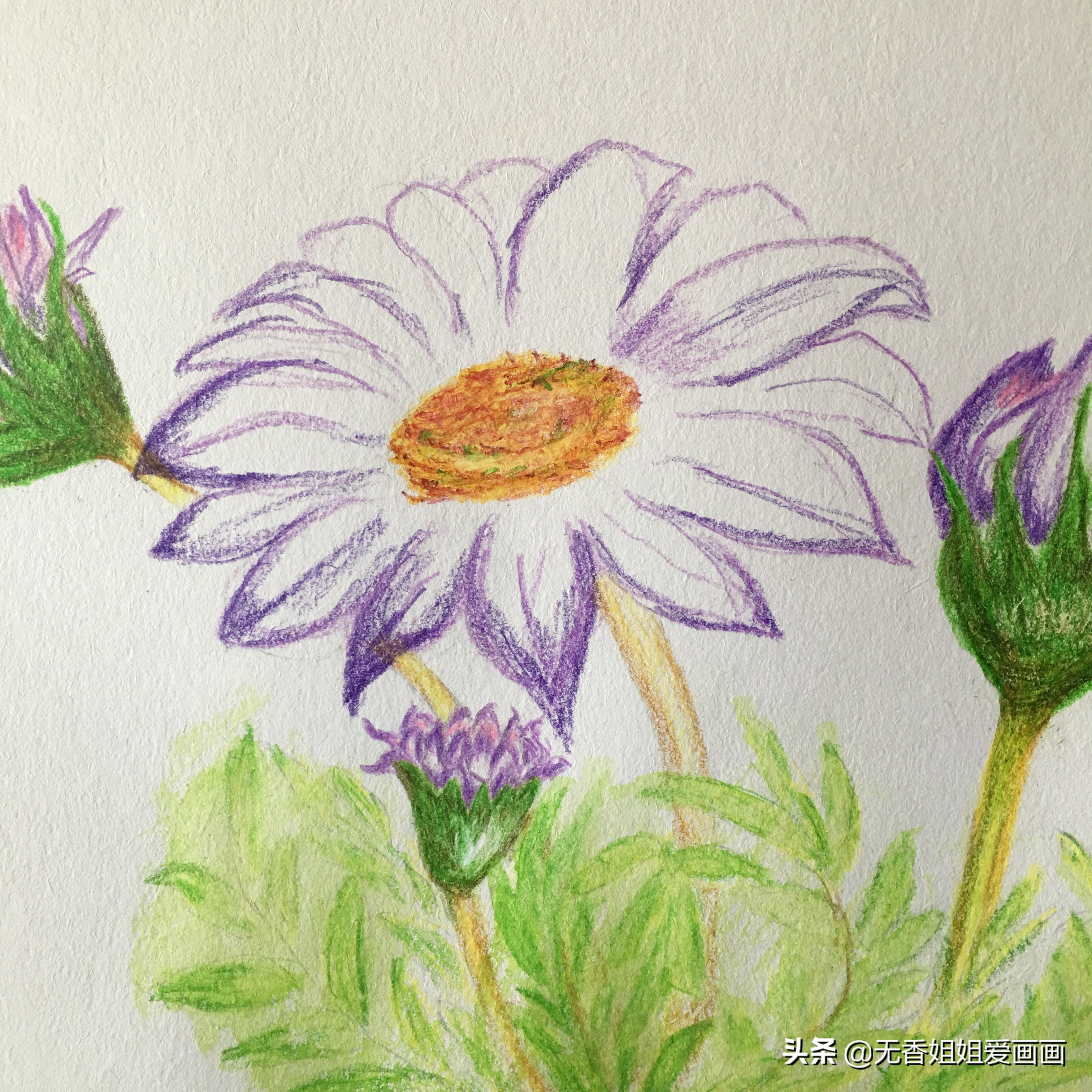 会画画真的是很开心的事情,会画画就要什么都画