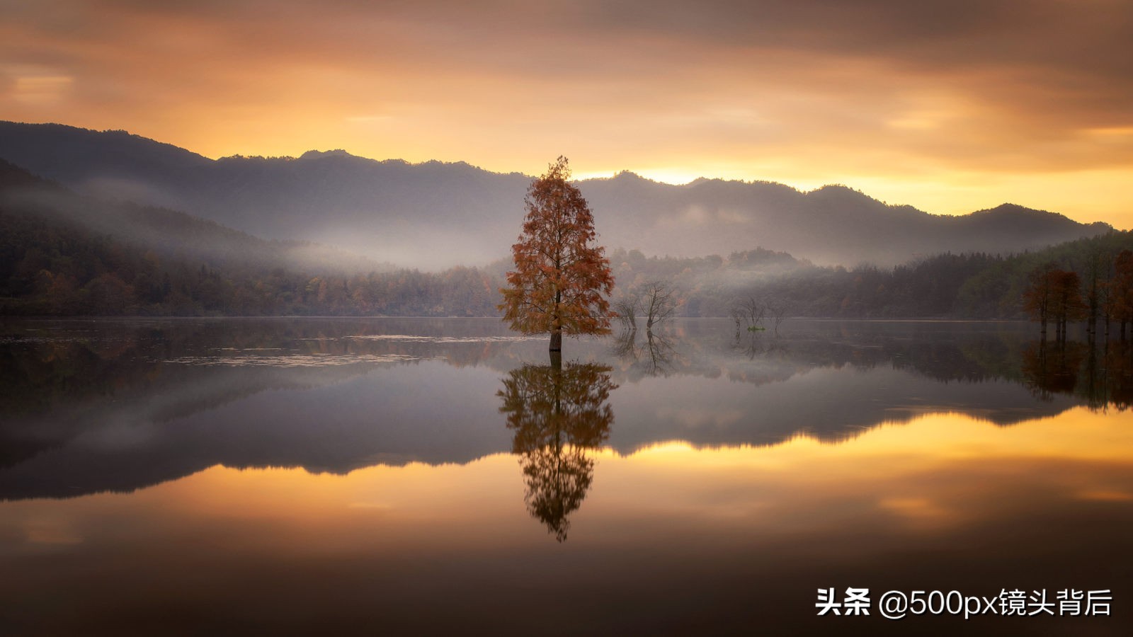 摄影风格纯粹主义,从生活中汲取摄影的灵感