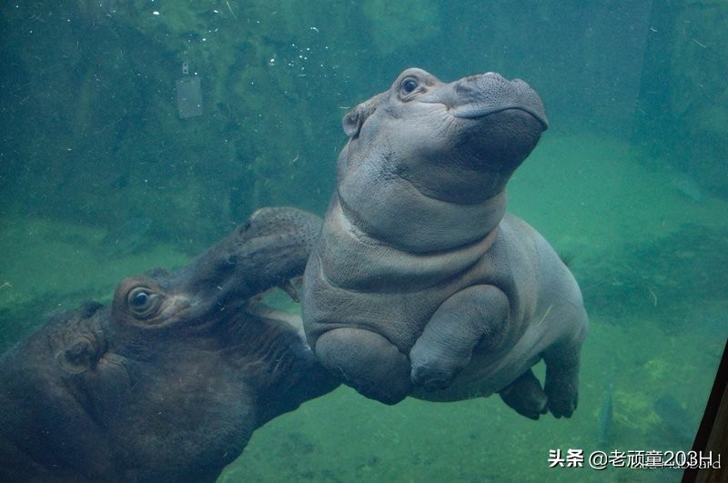 瑗挎柟绁炶瘽,绁炶瘽姊︽父