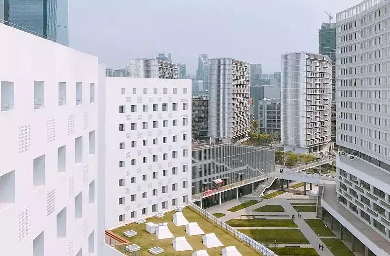 深圳适合春游的地方推荐及理由,深圳不可错过的游玩地方