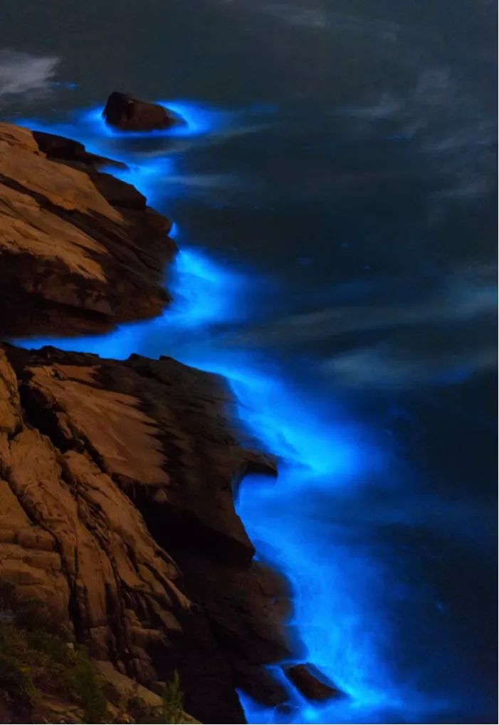 普吉岛周边值得去的海岛,这6个绝美海岛2018至少去一个